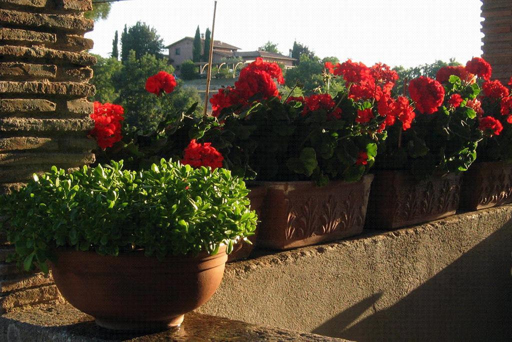 Casale Aurora Villa Viterbo Bilik gambar